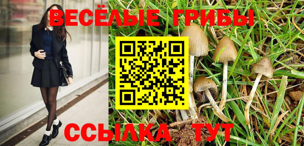 Псилоцибиновые грибы Cubensis Похвистнево